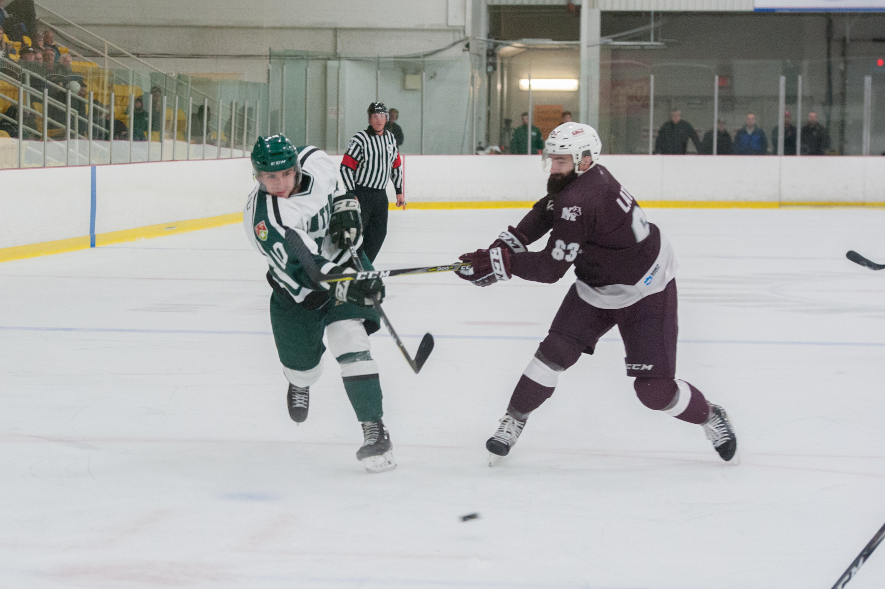 Panthers fall 6-1 to Huskies