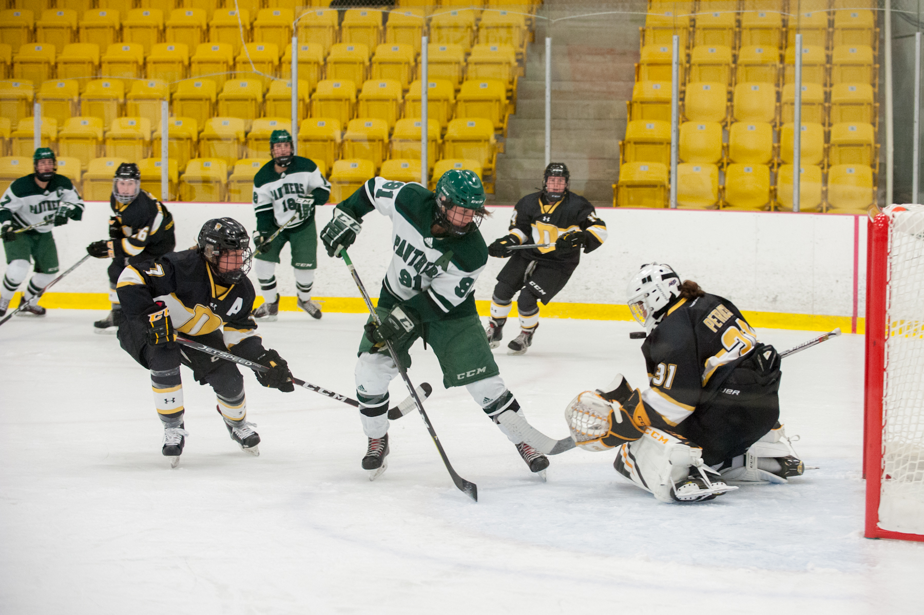 Steeves leads second-period barrage as Panthers take down Dalhousie