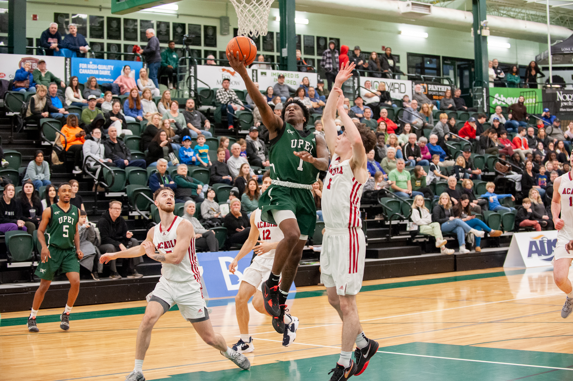 Panthers defeat Acadia 89-56, complete season sweep